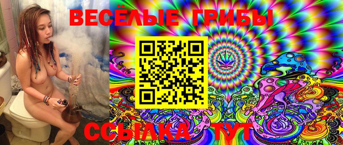 Галлюциногенные грибы Magic Shrooms Альметьевск